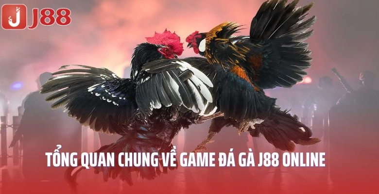 Cockfighting